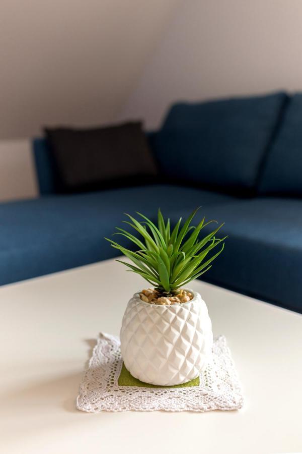 Apartmaji Rupnik Bohinjska Bistrica ภายนอก รูปภาพ
