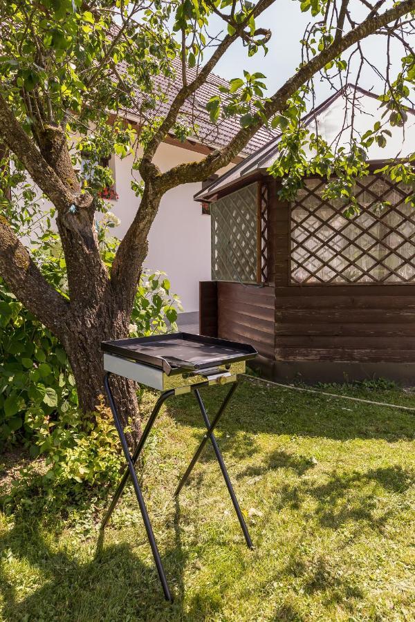 Apartmaji Rupnik Bohinjska Bistrica ภายนอก รูปภาพ