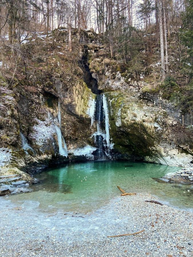 Apartmaji Rupnik Bohinjska Bistrica ภายนอก รูปภาพ