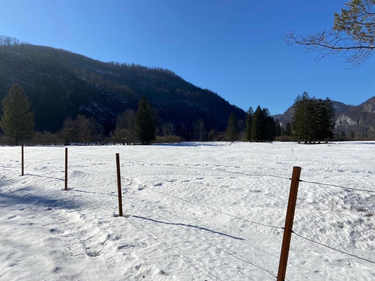 Apartmaji Rupnik Bohinjska Bistrica ภายนอก รูปภาพ